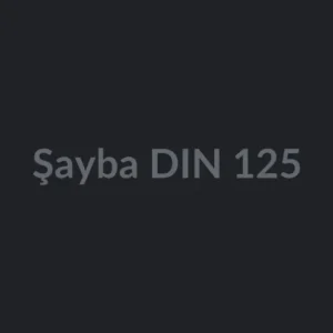Şayba DIN 125
